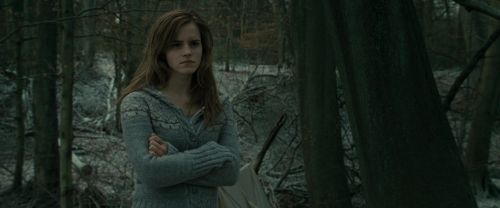 RdM1-Potterish10622.jpg