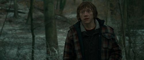 RdM1-Potterish10630.jpg