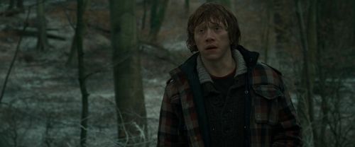 Click to view full size image
==============
RdM1-Potterish10637.jpg RdM1-Potterish10637.jpg