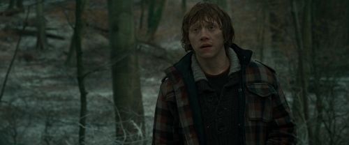 RdM1-Potterish10638.jpg