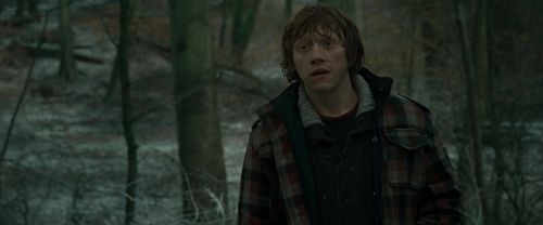 RdM1-Potterish10639.jpg