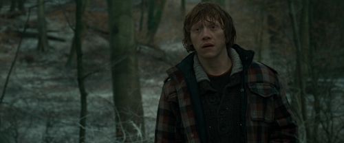 RdM1-Potterish10641.jpg