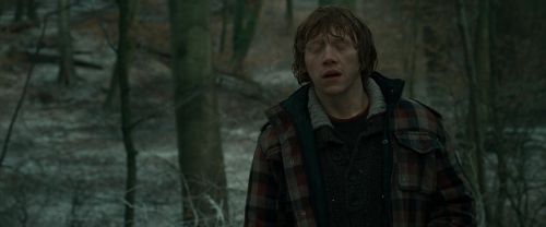 Click to view full size image
==============
RdM1-Potterish10642.jpg RdM1-Potterish10642.jpg