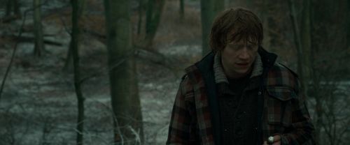 RdM1-Potterish10644.jpg