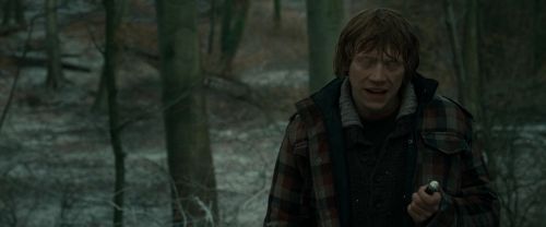 RdM1-Potterish10645.jpg