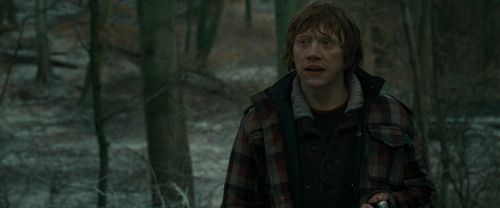 RdM1-Potterish10647.jpg