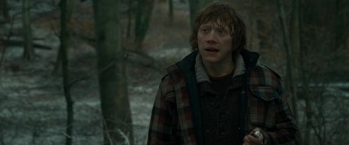 RdM1-Potterish10648.jpg
