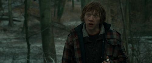 RdM1-Potterish10650.jpg