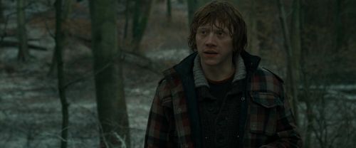 RdM1-Potterish10651.jpg