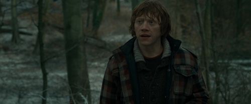 Click to view full size image
==============
RdM1-Potterish10652.jpg RdM1-Potterish10652.jpg