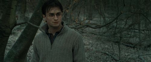 Click to view full size image
==============
RdM1-Potterish10689.jpg RdM1-Potterish10689.jpg