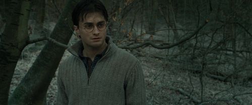 RdM1-Potterish10691.jpg
