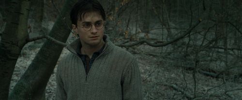 RdM1-Potterish10692.jpg