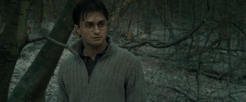 Click to view full size image
==============
RdM1-Potterish10694.jpg RdM1-Potterish10694.jpg