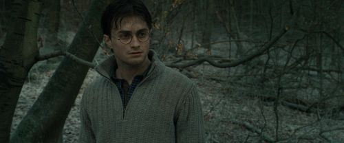 Click to view full size image
==============
RdM1-Potterish10695.jpg RdM1-Potterish10695.jpg