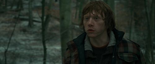 Click to view full size image
==============
RdM1-Potterish10696.jpg RdM1-Potterish10696.jpg