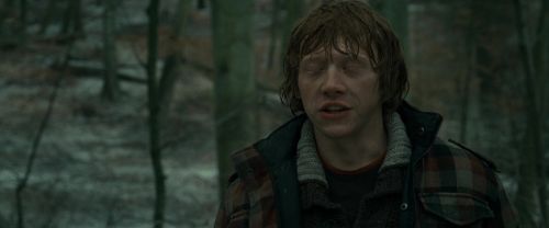 Click to view full size image
==============
RdM1-Potterish10701.jpg RdM1-Potterish10701.jpg
