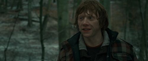 RdM1-Potterish10702.jpg