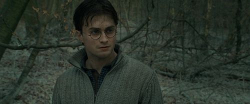 Click to view full size image
==============
RdM1-Potterish10705.jpg RdM1-Potterish10705.jpg