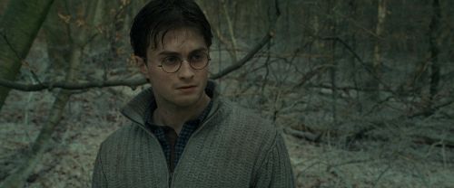 RdM1-Potterish10707.jpg