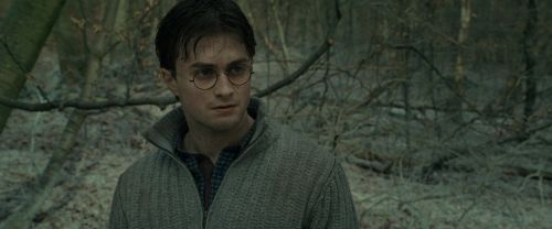 RdM1-Potterish10708.jpg