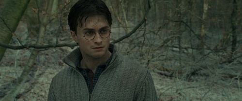 RdM1-Potterish10709.jpg