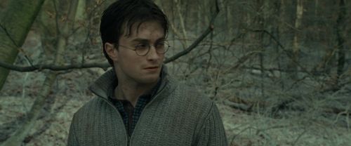 Click to view full size image
==============
RdM1-Potterish10710.jpg RdM1-Potterish10710.jpg