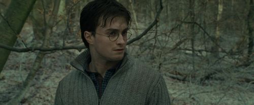 Click to view full size image
==============
RdM1-Potterish10713.jpg RdM1-Potterish10713.jpg