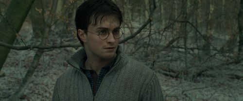 RdM1-Potterish10715.jpg