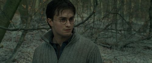 RdM1-Potterish10716.jpg