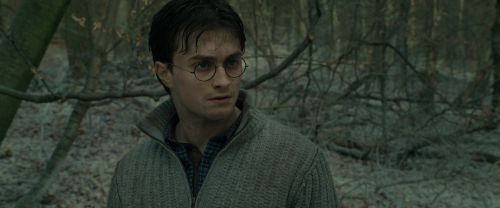RdM1-Potterish10717.jpg