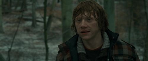 RdM1-Potterish10719.jpg