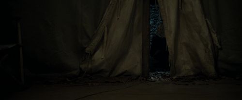 RdM1-Potterish10751.jpg