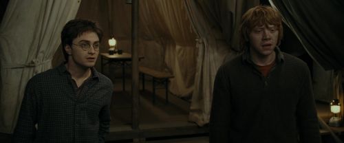 RdM1-Potterish10850.jpg