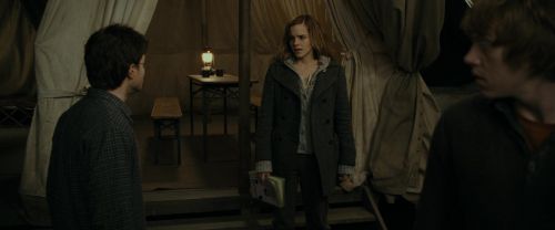 Click to view full size image
==============
RdM1-Potterish10864.jpg RdM1-Potterish10864.jpg