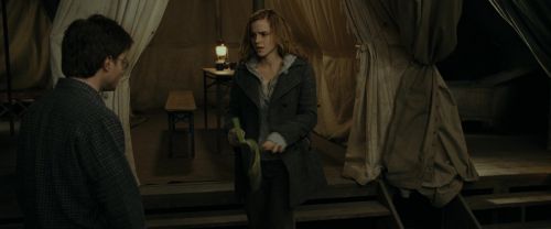 RdM1-Potterish10873.jpg