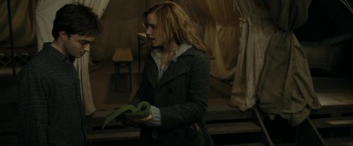 RdM1-Potterish10886.jpg