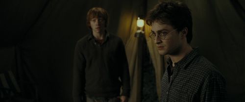 RdM1-Potterish10920.jpg
