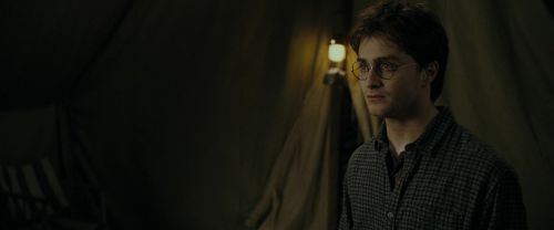 RdM1-Potterish10939.jpg