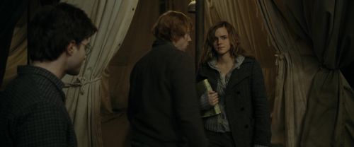 RdM1-Potterish10940.jpg