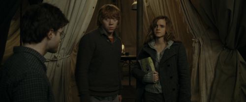 RdM1-Potterish10941.jpg