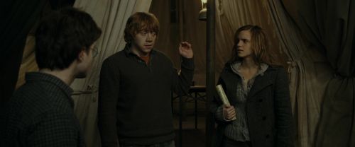 RdM1-Potterish10960.jpg
