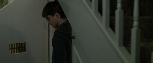RdM1-Potterish1098.jpg