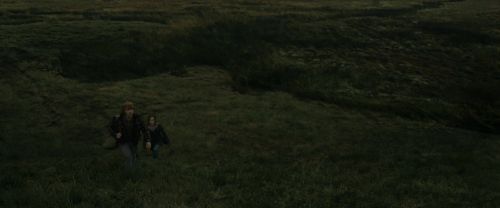 RdM1-Potterish10988.jpg