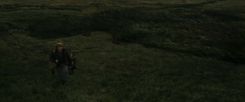 RdM1-Potterish10989.jpg