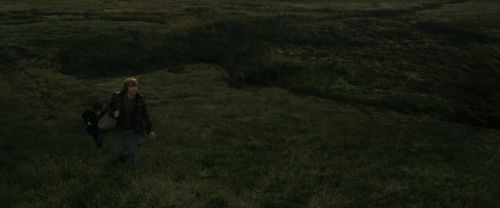 RdM1-Potterish10990.jpg