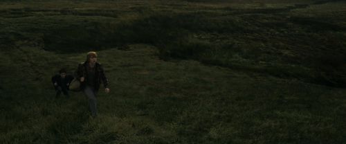 Click to view full size image
==============
RdM1-Potterish10991.jpg RdM1-Potterish10991.jpg