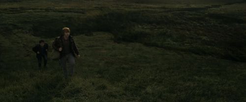 RdM1-Potterish10992.jpg