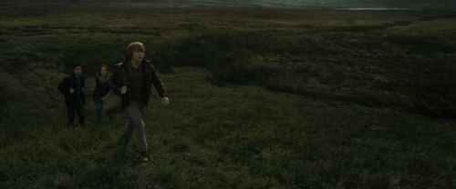 RdM1-Potterish10994.jpg