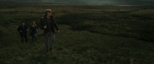 RdM1-Potterish10995.jpg